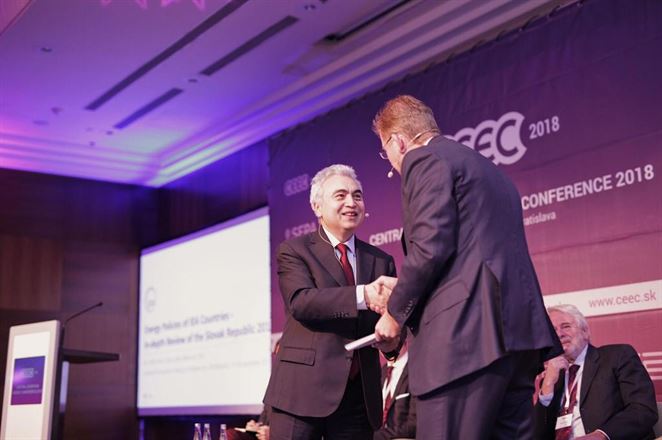 Hĺbkový audit slovenskej energetiky priniesol pre vládu viacero odporúčaní